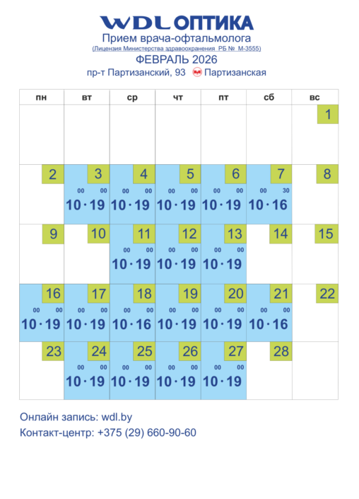 Партизанский 93